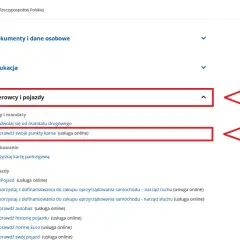 Na stronie gov.pl, w sekcji "Usługi dla obywatela", znajduje się opcja "Kierowcy i pojazdy". Można tam sprawdzić swoje punkty karne online, co jest częścią profilu kierowcy online.