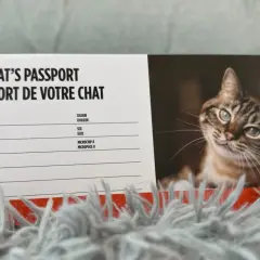 Passeport de chat avec un portrait de chat. Est-ce grave de ne pas vacciner son chat ? Ce document rappelle les informations essentielles pour la santé de votre félin.
