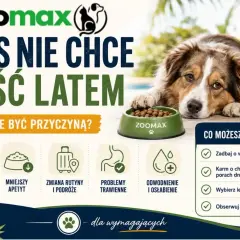 Pies nie chce jeść latem? Wysokie temperatury, mniejszy apetyt, problemy trawienne. Zadbaj o wodę i lekkostrawną karmę.