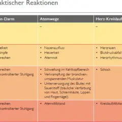 Tabelle zur Einstufung der Schwere einer anaphylaktischen Reaktion. Zeigt Symptome in Haut, Magen-Darm, Atemwegen, Herz-Kreislauf und Notfall-Medikamente.