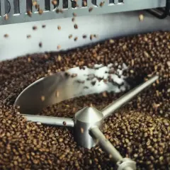 Proces palenia kawy w maszynie. Ziarna kawy wirują, nabierając idealnego koloru i aromatu.
