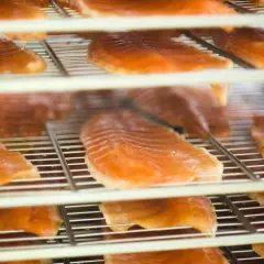 Filets de truite saumonée sur des grilles, prêts pour le temps de fumage. L'orange vif des poissons contraste avec les grilles métalliques.