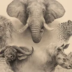 En konstnärlig hyllning till the big five afrika: en majestätisk elefant, en stolt lejonhane, en smidig leopard, en kraftfull buffel och en pansarklädd noshörning.