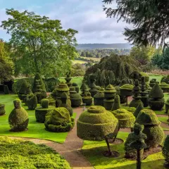Niezwykły ogród w Friar Park, pełen fantazyjnie przyciętych krzewów, tworzących rzeźby i figury.