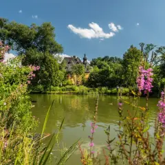 Idyllischer Teich mit Schloss und blühenden Pflanzen. Perfekt für eine Wanderung in Bergisch Gladbach.