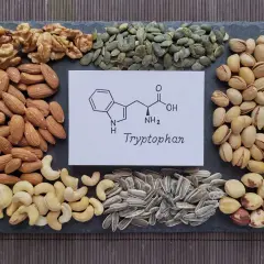 Nüsse und Samen wie Mandeln, Cashews, Walnüsse, Kürbiskerne, Sonnenblumenkerne, Pistazien und Haselnüsse umrahmen eine chemische Formel und das Wort "Tryptophan". Diese Lebensmittel sind gute Quellen für Tryptophan.
