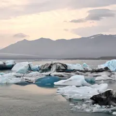 Lodowiec Islandia. Góry w tle, na wodzie pływają bryły lodu o różnych kształtach i odcieniach błękitu i bieli.