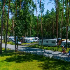 Ośrodek wypoczynkowy Zagłębocze tętni życiem. Kemping pełen przyczep, kamperów i namiotów, wśród sosen. Rodziny spacerują pośród zieleni.