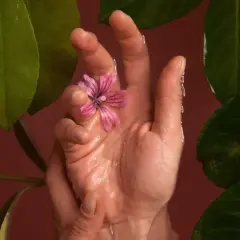 Main délicate tenant une fleur rose, entourée de feuilles vertes. Une image évoquant la sérénité et les bienfaits du Jin Shin Jyutsu.