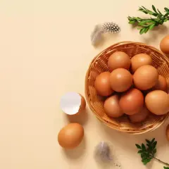 Koszyk pełen jajek, piórka i gałązki zieleni. Widać też skorupkę po jajku. Makro zbliżenie na naturalne piękno.