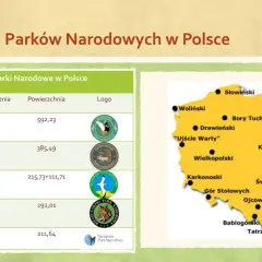 Mapa pokazuje, ile jest parków narodowych w Polsce, z zaznaczonymi największymi i ich lokalizacją.