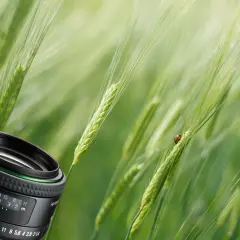 Najlepsze obiektywy do Pentaxa K-50, które poprawią Twoje zdjęcia