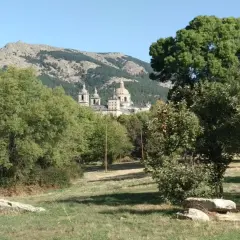 Un majestuoso edificio se alza entre los árboles del bosque de la Herrería, con montañas escarpadas al fondo bajo un cielo azul.