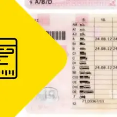 Prawo jazdy na busa: Ile miejsc możesz przewieźć legalnie?