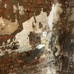 Abblätternder Putz an einer Ziegelwand im Keller. Die Feuchtigkeit deutet auf dringenden Bedarf an einer Kellerabdichtung hin, um die Kosten für weitere Schäden zu minimieren.