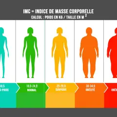 Cinq silhouettes féminines illustrent les catégories d'IMC : maigre, normal, surpoids (IMC 29), obésité, obésité sévère.