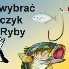 Haczyk na płoć: Klucz do sukcesu? Rozmiar, kształt, drut wybierz mądrze!