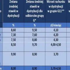 Cena 1 kWh prądu w Polsce: Ile płacisz i jak obniżyć rachunki?