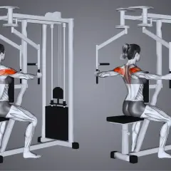 Kvinnan utför rear delt flys på en maskin, med fokus på baksida axlar.