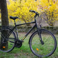 Czarny rower trekkingowy, idealny wybór jaki rower trekkingowy do 3000 zł, stoi przy drzewie na tle kwitnących żółtych krzewów.
