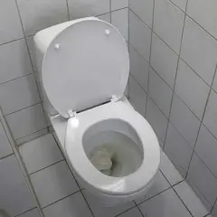 En vit toalett med öppet lock och papper i skålen, vilket indikerar ett stopp i toaletten.