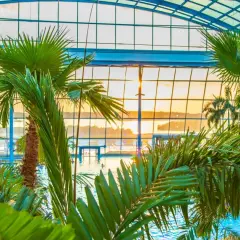 Weekend pod Warszawą? Odkryj niezwykłe atrakcje Mazowsza!