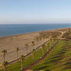 Paseo marítimo con palmeras y césped verde en Almería, junto a una playa de arena y el mar azul.