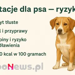 Pies i pistacje? Ryzyko zadławienia, sól, przyprawy i wysoka kaloryczność. Zastanawiasz się, czy pies może jeść pistacje? Lepiej nie ryzykuj.