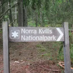 Skylt visar vägen till Norra Kvills Nationalpark genom en tät skog.