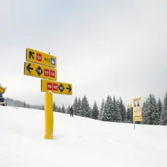 Na stoku narciarskim, wśród zasypanych śniegiem drzew, żółte tabliczki kierują narciarzy na różne trasy.