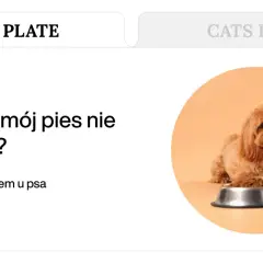 Uroczy piesek obok miski z karmą. Tekst pyta: "Dlaczego mój pies nie chce jeść?", sugerując problemy z apetytem u psa.