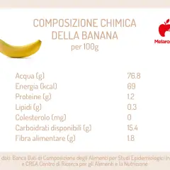 Composizione chimica della banana per 100g: 69 kcal. La banana è un frutto ricco di carboidrati e acqua.