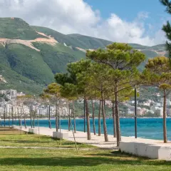 Wlora, Albania: nadmorska promenada z sosnami, turkusowe morze i góry w tle.