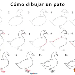 Instrucciones paso a paso para dibujar un pato. Aprende a crear tu propio pato para dibujar con esta guía visual.