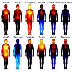 Sylwetki ludzi z kolorowymi mapami cieplnymi, ilustrujące różne emocje: złość, strach, wstręt, szczęście, smutek, zaskoczenie, neutralność, niepokój, miłość, depresja, pogarda, duma, wstyd, zazdrość.