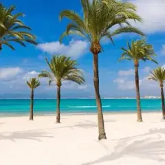 El Arenal atrakcje, które zaskoczą każdego turystę w Mallorca