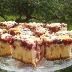 Pyszne ciasto z czarnymi porzeczkami i kruszonką, posypane cukrem pudrem, na szklanej paterze.