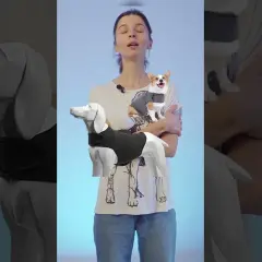 Kamizelka antystresowa dla psa DIY: zrób ją sam w 5 minut!