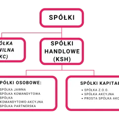 Schemat podziału spółek, w tym spółki kapitałowe: z o.o., akcyjna, prosta spółka akcyjna.