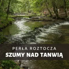 Rezerwat Szum: Kaskady Tanwi, szlaki i planowanie wycieczki na Roztoczu