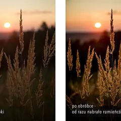 Trawa w złotym świetle zachodzącego słońca. Po obróbce zdjęcie nabrało ciepłych barw, idealnie oddając klimat złotej godziny.