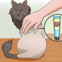 A hand applies cream to a fluffy cat's back, showing a tube of cream with a lion-like cat on it. This illustrates how to shave a cat.