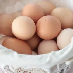 Ile jaj znosi kura rocznie? - Co warto wiedzieć o produkcji jajek w gospodarstwie
