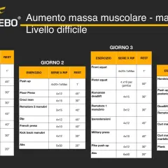 Scheda allenamento trazioni massa: programma di 4 giorni per aumento massa muscolare con manubri, livello difficile.