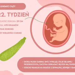 Jak wygląda dziecko w 22 tygodniu ciąży? Zaskakujące zmiany i rozwój