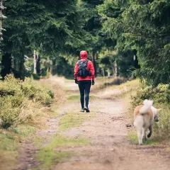 Gdzie z psem w góry Zakopane - najlepsze trasy i ważne zasady