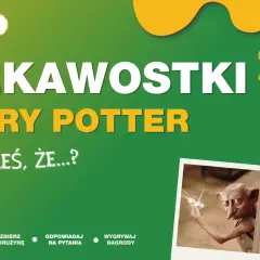 Ciekawostki o Harrym Potterze: czy wiedziałeś, że Dobby trzyma iskrę? Zbieraj drużynę, odpowiadaj na pytania i wygrywaj nagrody!
