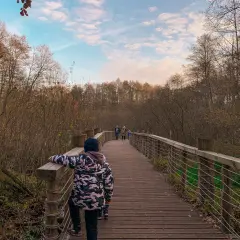 Dzieci spacerują drewnianym pomostem przez łosiowe błota. Jesienny las otacza ścieżkę, a niebo jest lekko zachmurzone.