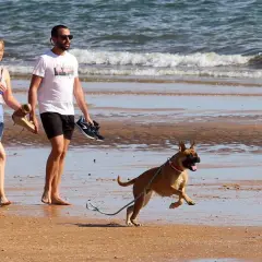 Pareja pasea por la playa con su perro, disfrutando de uno de los mejores playas para ir con perros.