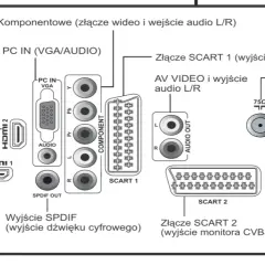 Jak podłączyć Denon do telewizora – proste kroki, które musisz znać